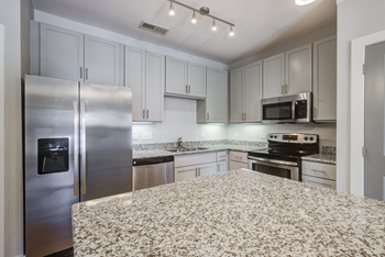 Gourmet kitchens with built-in microwave & ice maker